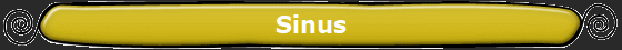 Sinus